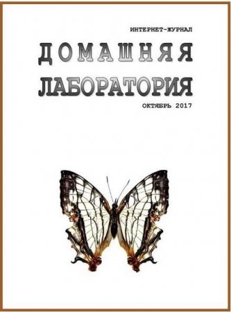 Обложка к Домашняя лаборатория №10 (октябрь 2017)