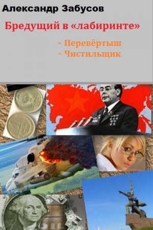 Обложка к Александр Забусов. Бредущий в «лабиринте». Сборник книг