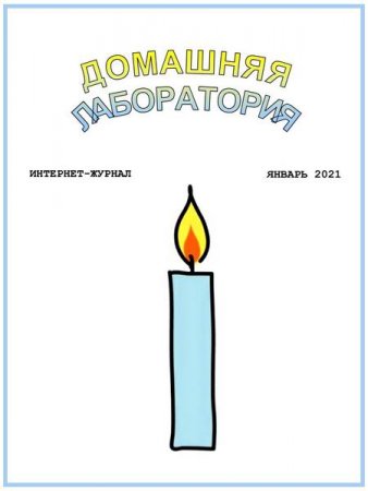 Обложка к Домашняя лаборатория №1 (январь 2021)