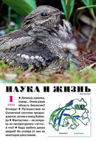 Обложка к Наука и жизнь №1 (январь 2024)