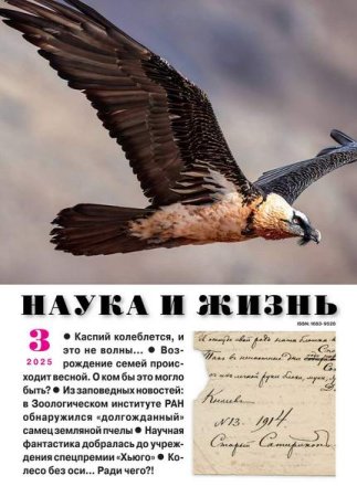 Обложка к Наука и жизнь №3-4 (март-апрель 2025)