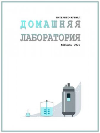 Обложка к Домашняя лаборатория №2 (февраль 2026)